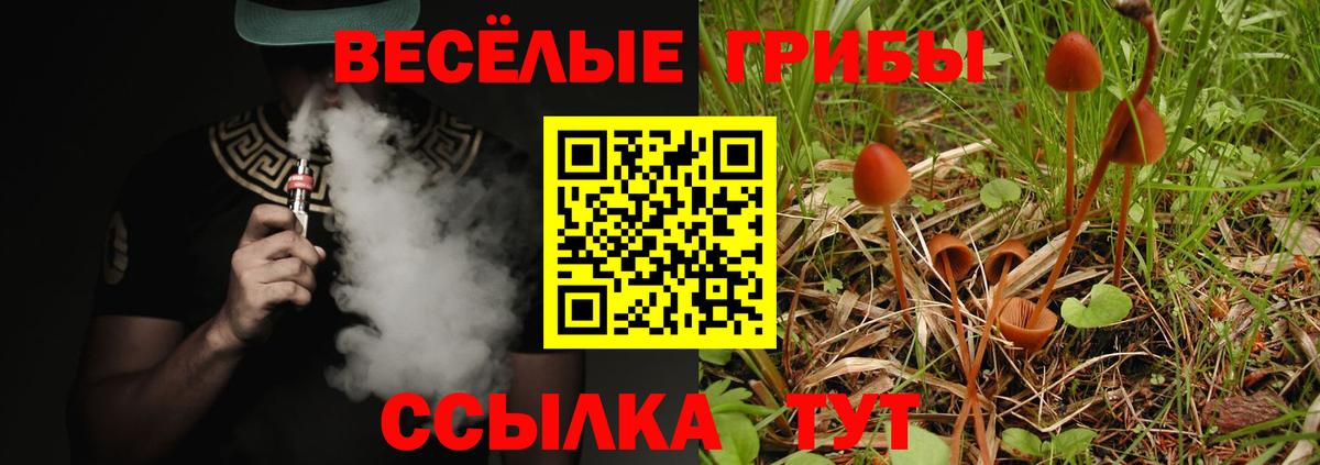 Мичуринск  Галлюциногенные грибы MAGIC MUSHROOMS  продажа наркотиков  Вход с VPN 