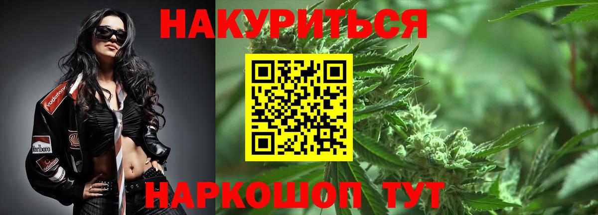 Марихуана сатива  Вход с VPN  Марихуана конопля  Бошки марихуана OG Kush  Мичуринск 